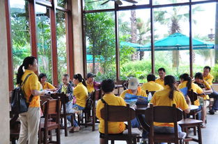 珠海麦田咖啡 以精细化管理深耕餐饮蓝海，创新驱动品牌发展